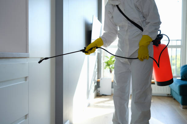 Best Mold Remediation Services  in Ordway, CO