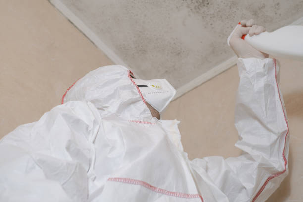 Best Mold Cleaning Services  in Ordway, CO