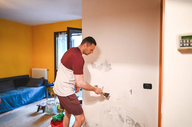 Attic Mold Removal in Ordway, CO