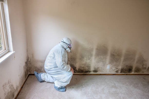 Best Professional Mold Removal  in Ordway, CO